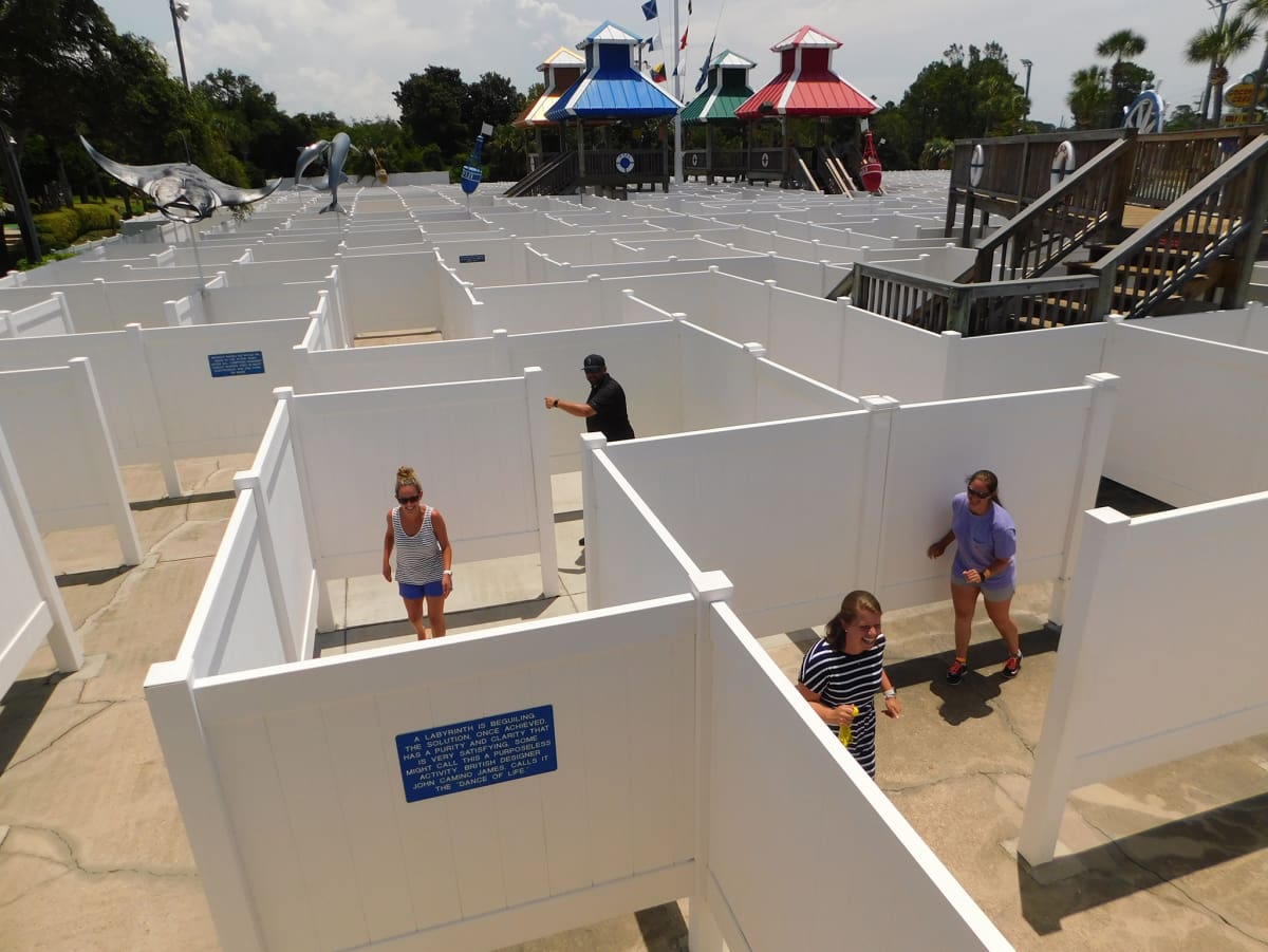 An image of a group trying to find their way through our Gran Maze in Panama City Beach, Florida.