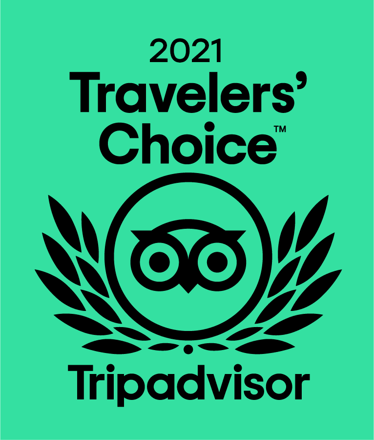 Image of the 2012-2021 Certificate of Excellence Award from Trip Advisor.