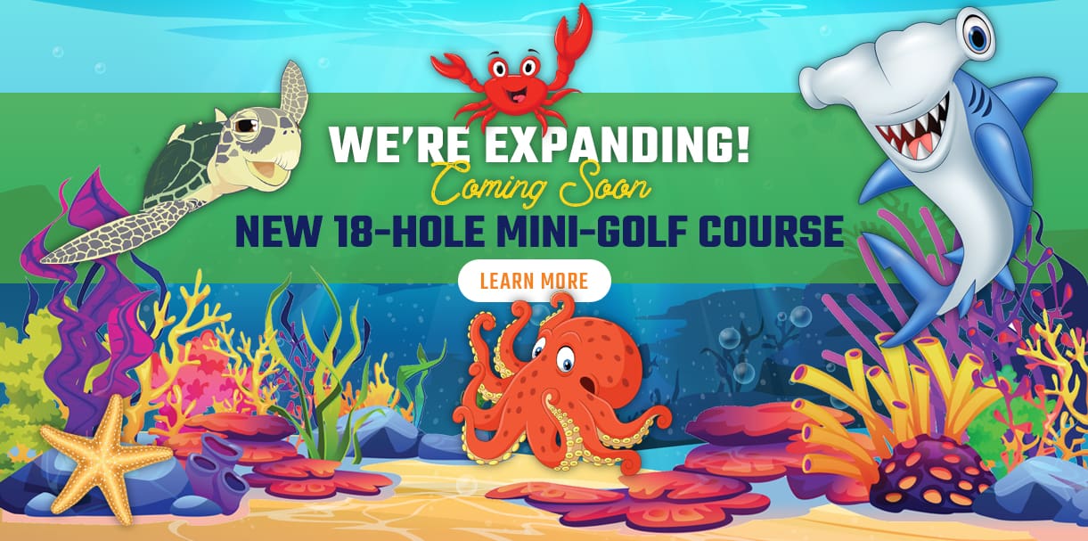 We're expanding. We have a new 18-hole mini-golf course coming soon. 